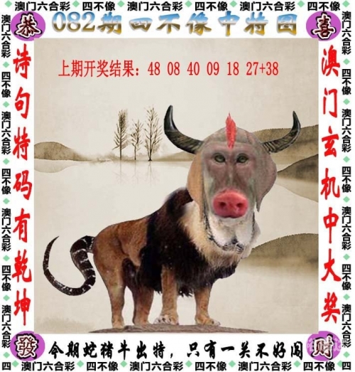 香港一肖一码100准确-第2张图片