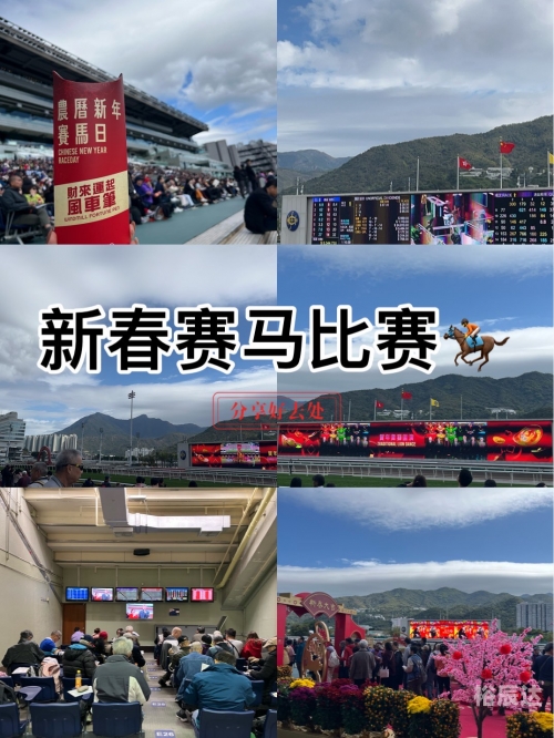香港赛马会论坛香港赛马会论坛，探讨赛马运动与文化交流-第2张图片