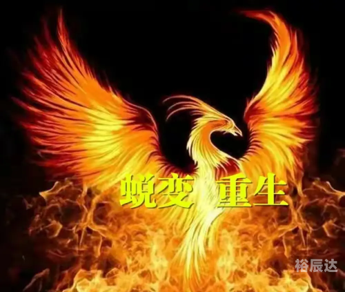 用名字算命用名字算命，探索命运之谜
