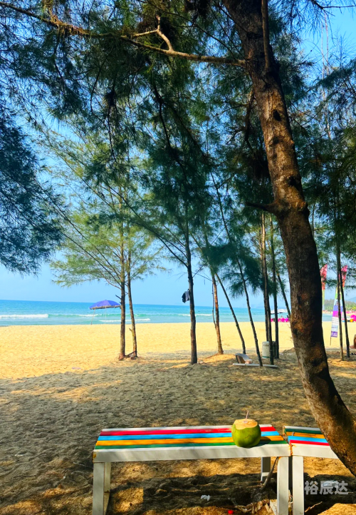 海南自驾游:3个小时挪了300米海南自驾游，3小时挪了300米，畅游海岛风光-第2张图片