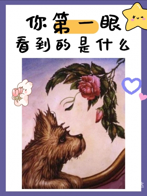 一前一后C的你一前一后C的你-第2张图片