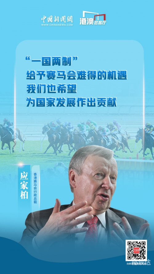 二手赛马市场热潮，探索与机遇