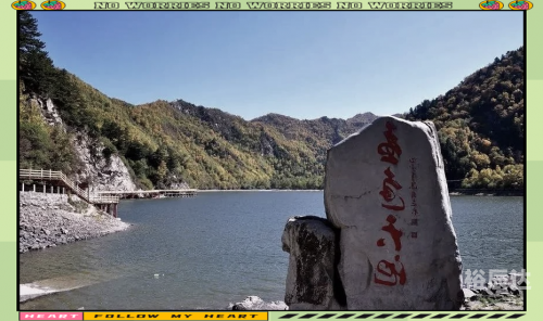 固原呱呱网，探索网络新纪元