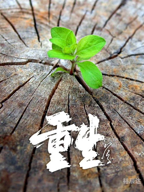 天外天天外天，探索未知的世界