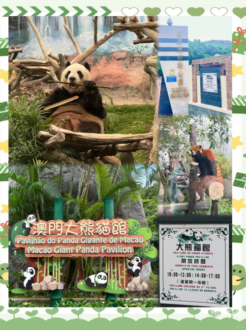 2020澳门免费资料大全2023澳门资料免费看，探索澳门的历史文化与旅游资源-第2张图片
