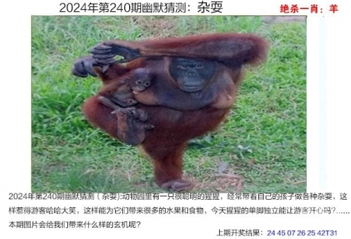 2023澳门管家婆资料正版大全