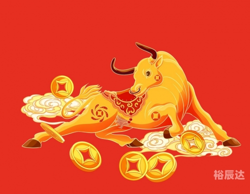 逗留不进是什么生肖
