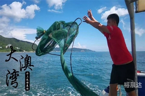 捕鱼89168澳门官方，体验澳门特色捕鱼文化