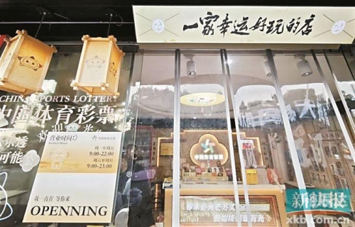 彩票网站彩票网站，探索数字世界的神秘财富之门
