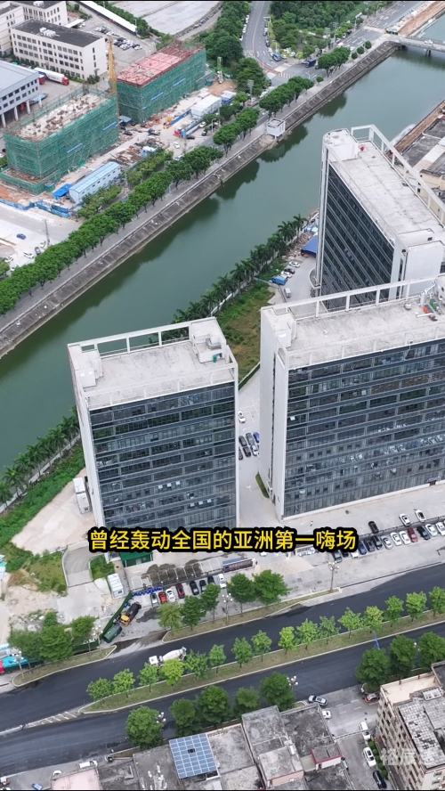 新东泰事件概述