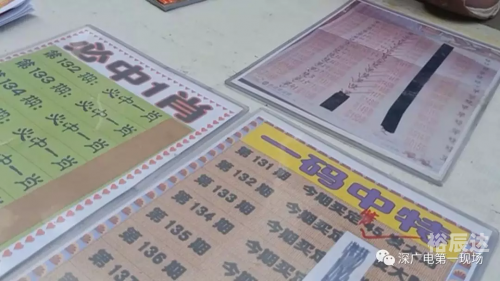 精准三码中特 资料精选三码中特www277351，揭秘数字背后的神秘力量