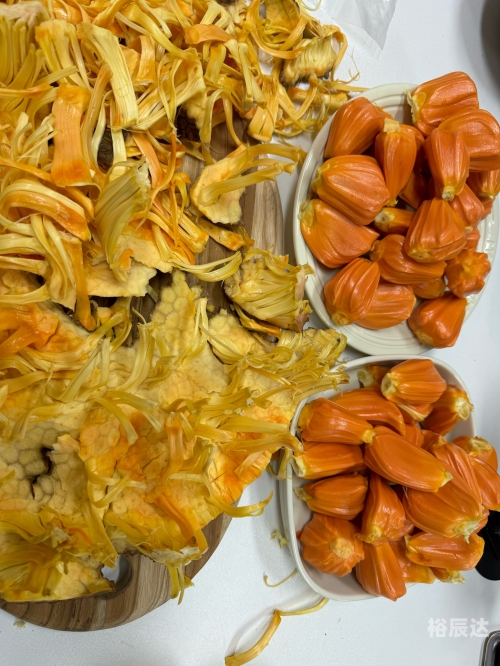 菠萝蜜菠萝蜜手免费播放菠萝菠萝蜜手机网，探索科技新世界-第2张图片
