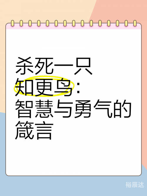 打破沙锅璺到底打破沙锅璺到底，探索未知的勇气与智慧-第2张图片