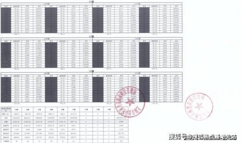 华人城官方网站发布华人城官方网站发布，引领华人社区新篇章