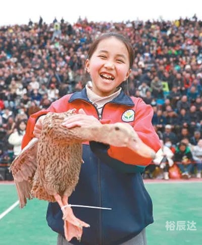 2022澳门今晚开特马+开奖结果那种鸭子最好吃澳门今晚开特马盛况揭晓-第1张图片