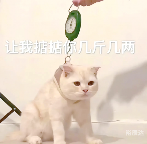 掂斤估两的拼音掂斤估两，生活中的微妙平衡-第2张图片