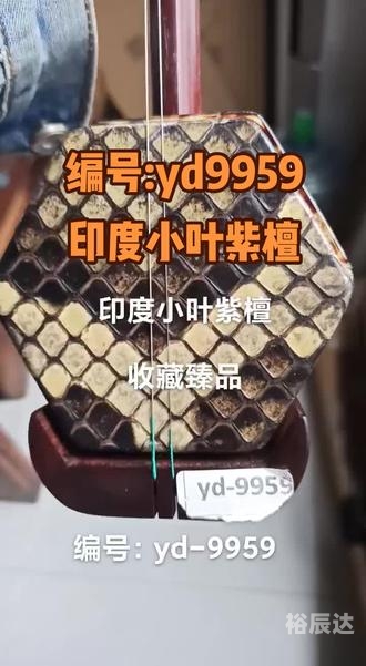 金星游戏机金星游戏机，娱乐新宠