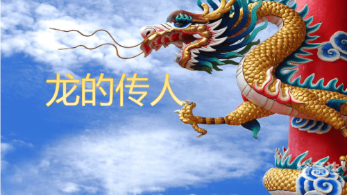 龙人网龙人网，探索数字时代的网络新篇章-第2张图片