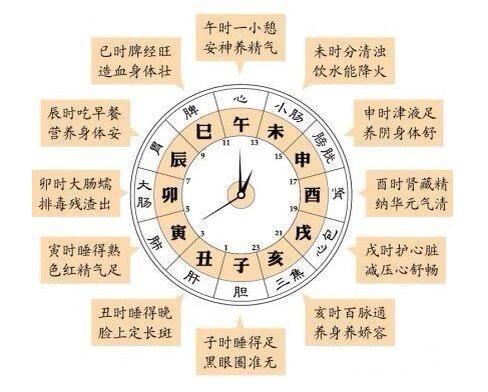 正确的十二时辰对照表属相正确的十二时辰对照表
