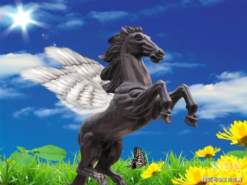 千里马论坛一肖中千里马论坛，探索网络交流的新天地-第2张图片
