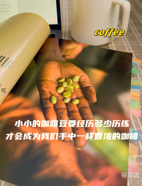 买咖啡买咖啡，品味生活的艺术-第3张图片