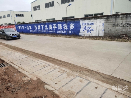 现场开码，把握市场脉搏的精准之举-第3张图片