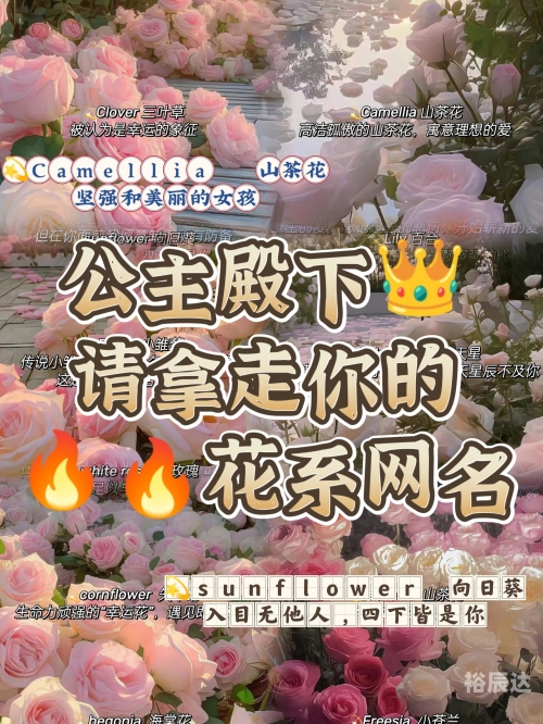 彩字网名加符号彩字网，文字的魔法世界