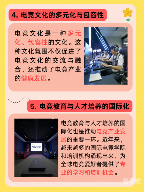 电子竞技运动与管理，新时代竞技的探索与实践