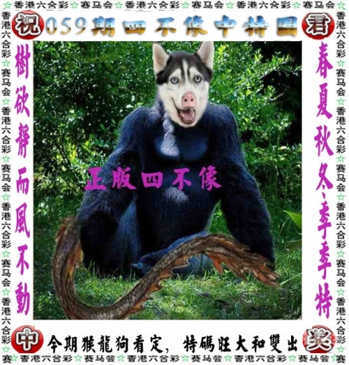 2025澳门六今晚开奖结果出来直播2023澳门彩今晚开特马，彩市新篇章-第2张图片