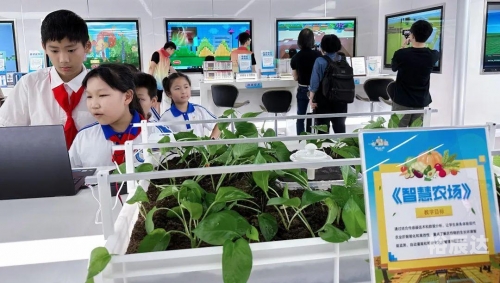 44993.com，探索数字时代的无限可能
