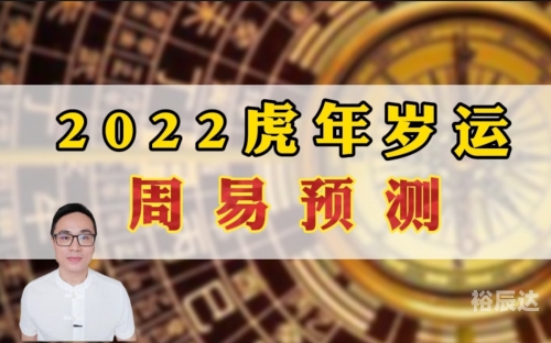 2021一码一肖100准确，预测与策略