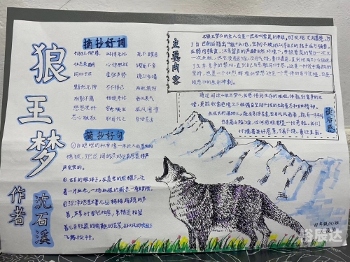 狼王梦在线阅读-第1张图片