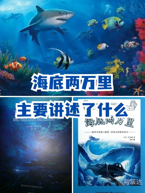 红足一比分网红足一，神秘生物的探索之旅-第1张图片