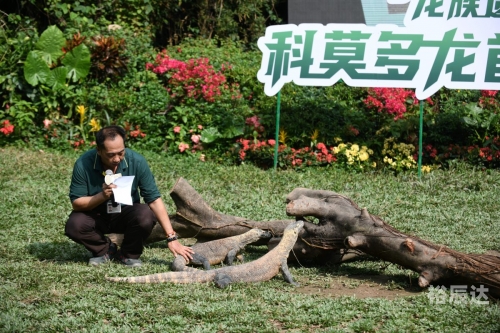 红足一比分网红足一，神秘生物的探索之旅-第2张图片