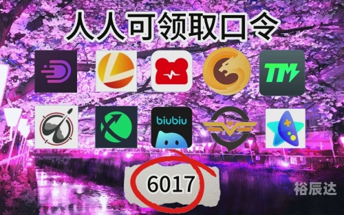 古怪加速器官网古怪加速器，探索未知的科技奇迹