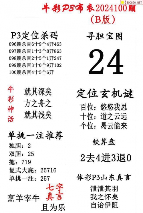 2024精华版布衣图全图解析