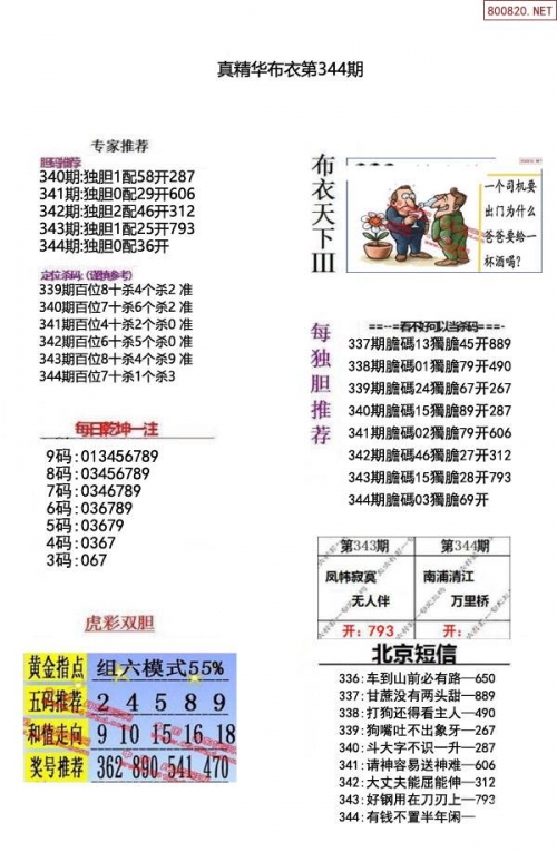 2024精华版布衣图全图解析-第3张图片