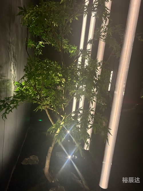 休闲会所，都市生活的惬意之选-第1张图片