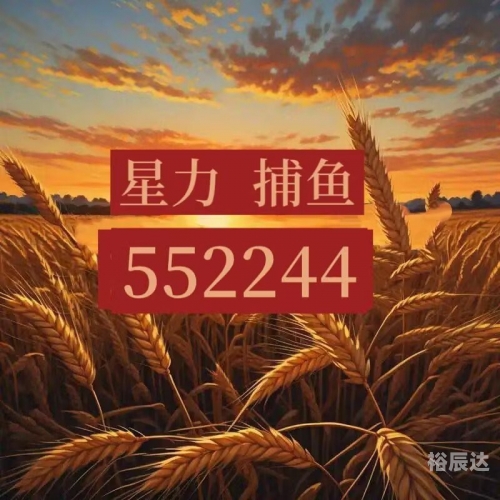 捕鱼星力捕鱼星力，海洋生态与人类捕捞的新篇章-第2张图片