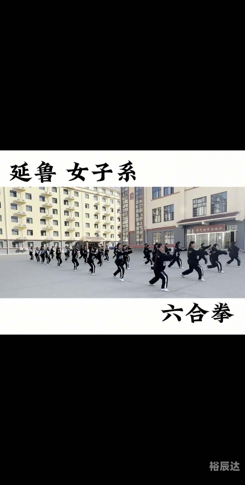 六合拳彩，传统武术的魅力与幸运-第2张图片