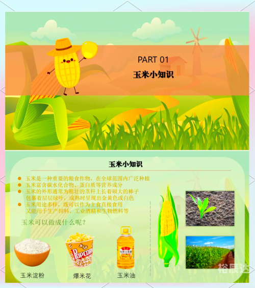 蝴蝶谷网址娱乐网，探索网络世界的奇妙之旅