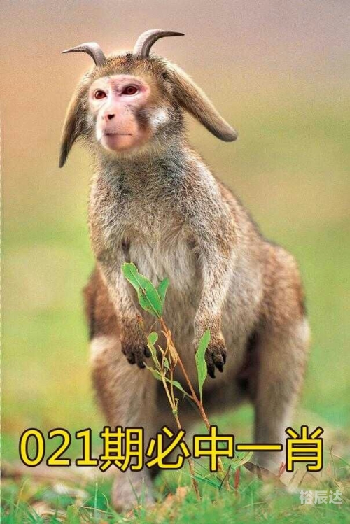 四不像必中一肖正牌-第2张图片