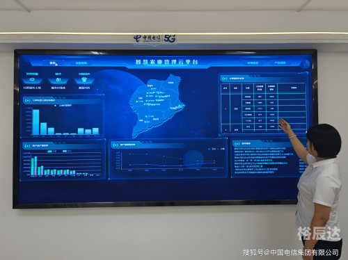 彩易3D，引领数字娱乐新篇章-第2张图片
