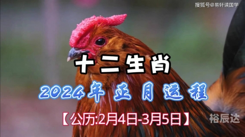 2024生肖排码表图彩图2024生肖排码表图详解
