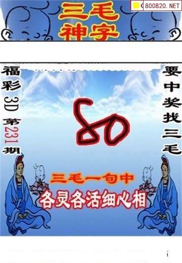 三毛图库3D，探索数字艺术的新世界-第2张图片