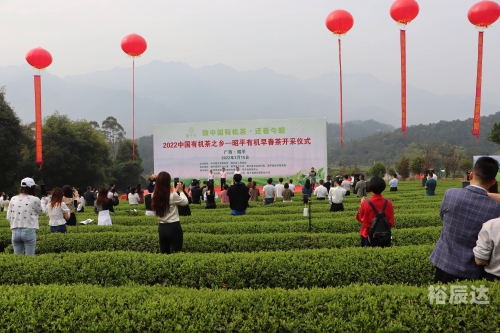 茶叶可以带上飞机吗不托运茶叶能否带上飞机