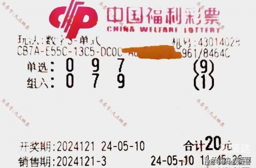 福彩3D天齐网，探索数字彩票的无限可能