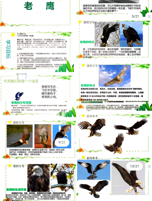 鹰击长空2鹰击长空2，探索天空的壮丽与挑战-第2张图片