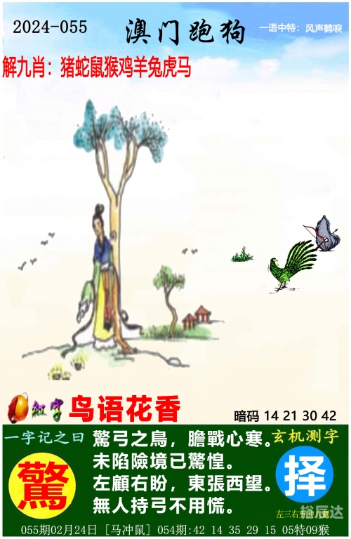 今晚开的什么特马今晚开的特马盛宴-第1张图片