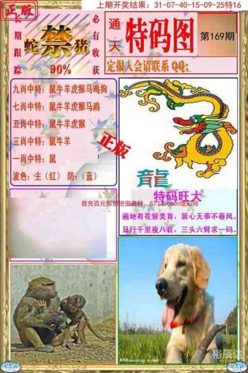 澳门免费开奖大全，49图库揭秘-第3张图片
